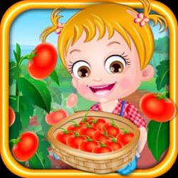 Baby Hazel Tomato Farming on PC