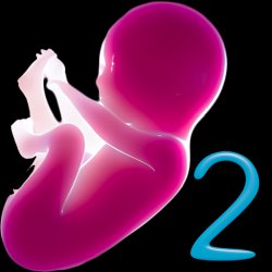 Alima's Baby 2 (Virtual Pet) on PC