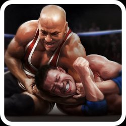 Real Wrestling 3D on PC