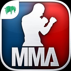 MMA Federation on PC