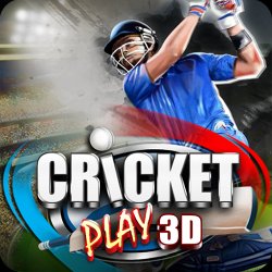 Cricket Play 3D on PC