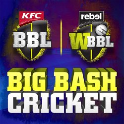 Big Bash Cricket on PC