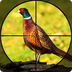 Pheasant Shooter on PC