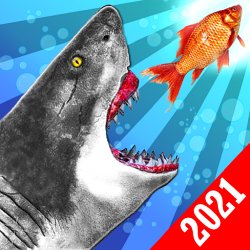 Hungry Shark Attack Game 3D on PC