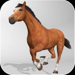 Horse Simulator 3D on PC