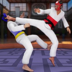 Karate King on PC